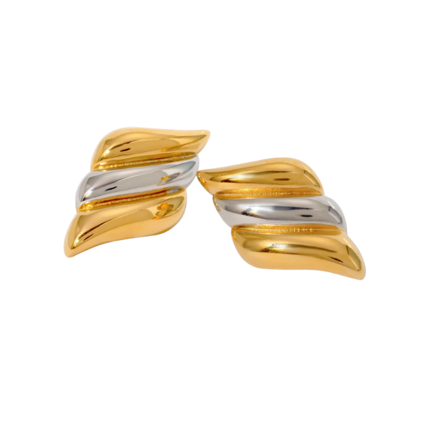 SIA Two Toned Earrings