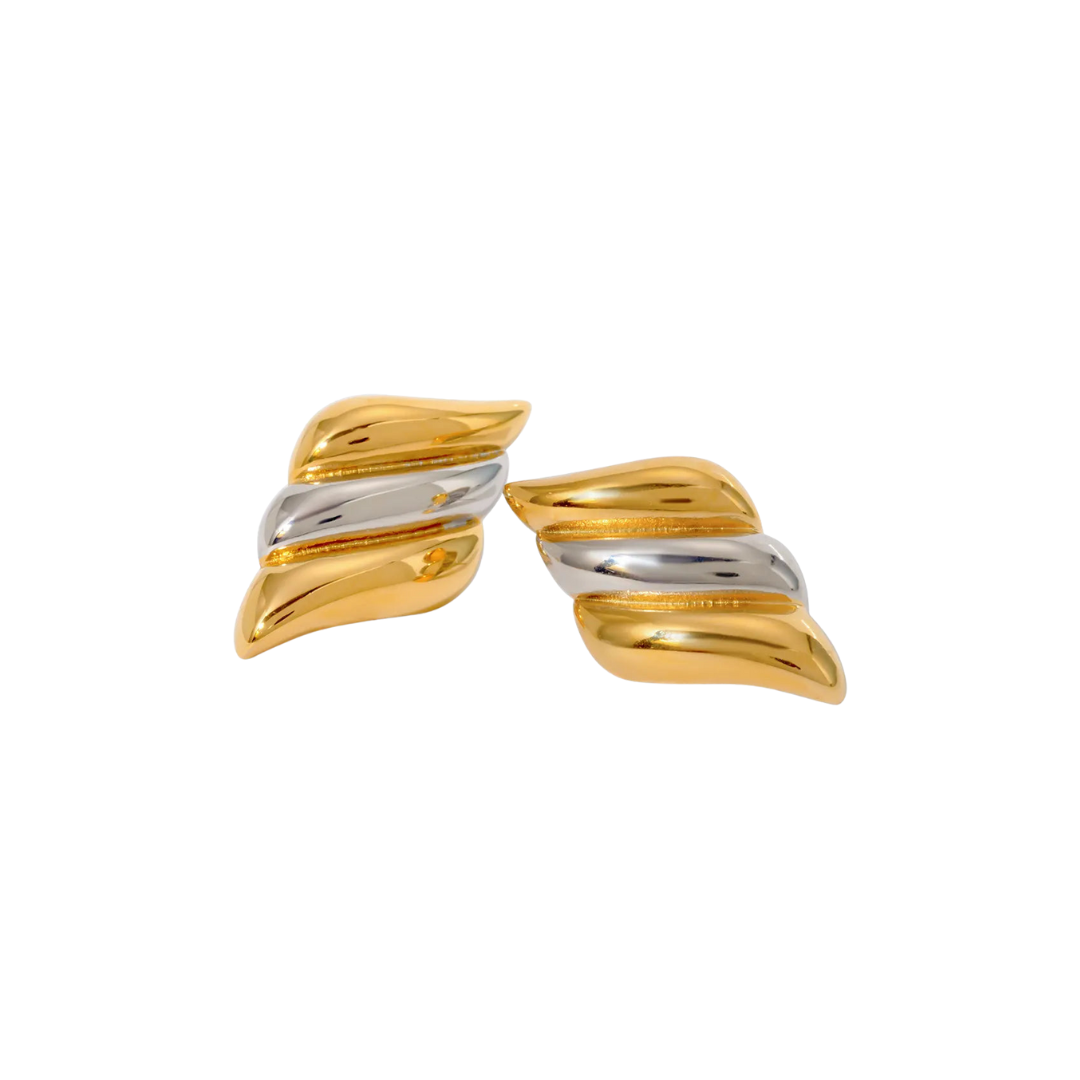 SIA Two Toned Earrings